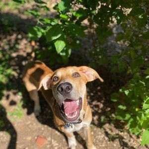 Meet your Posher, Samuel